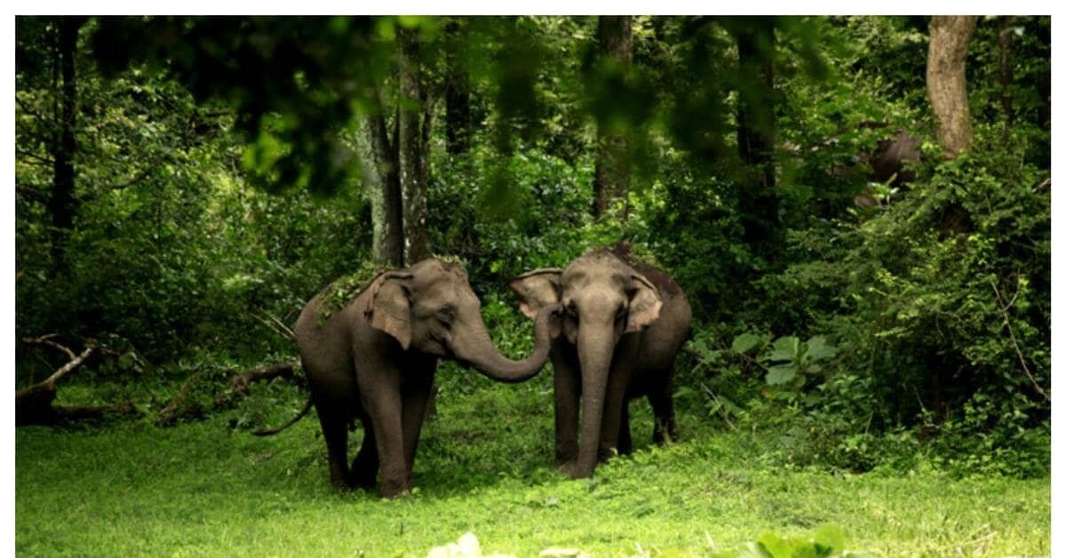 Pilgrimage, wildlife: India's tourism wave is creating new real estate bets