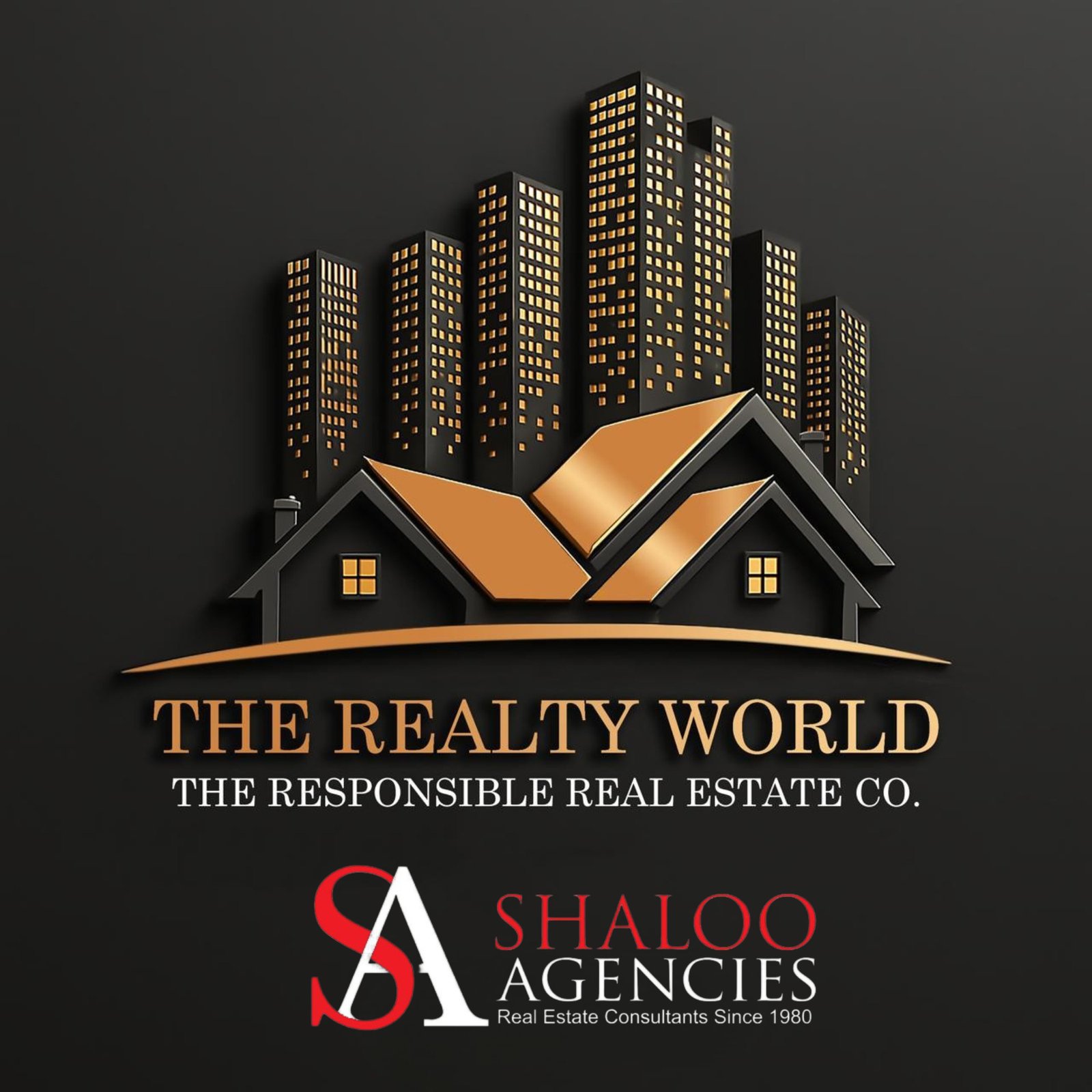 Amit Bhatia - The Realty World